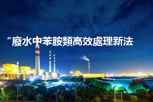 “廢水中苯胺類高效處理新法，環(huán)保先鋒引領(lǐng)綠色以后”